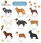 Dog breeds. Shepherd dog set icon. Flat style