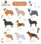 Dog breeds. Shepherd dog set icon. Flat style