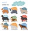 Dog breeds. Shepherd dog set icon. Flat style