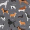 Dog breeds vector seamless pattern illustration. Big size dogs for home pets, bulldog, spaniel, poodel and corg