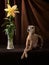 Dog on a brown drapery background. graceful Italian greyhound.