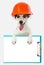 Dog builder in a protective uniform with office tablet