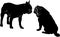 Dog Bulldog. The dog breed bulldog.Dog Bulldog black silhouette vector isolated on white background. Dog pug. Meeting two dogs of