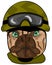 Dog bulldog in helmet military comic illustration