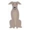 Dog canine icon cartoon vector. Animal run