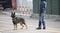 Dog Canine Unit of the police during the inspection of the area