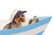 The dog in the captain`s cap sits in the boat.
