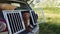 dog in a car in a cage. Traveling with a pet by car. nova scotia duck tolling retriever at weekend