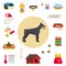 Dog care object set, items and stuff, cartoon illustration