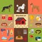 Dog care object set, items and stuff, vector cartoon illustration