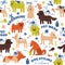 Dog care pattern. Vector illustration of cute home animals.