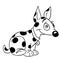 Dog caricature dalmatian illustration cartoon contour line