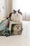 Dog in carrier with cat