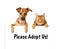 Dog and Cat Adopt Us