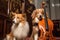 a dog and cat duo, playing violin and cello in a grand concert hall