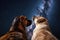 dog and cat floating in space, gazing at distant starry sky