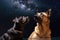 dog and cat floating in space, gazing at distant starry sky