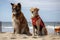 dog and cat lifeguards keeping an eye on the beachgoers, preventing accidents, and saving lives