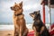 dog and cat lifeguards keeping an eye on the beachgoers, preventing accidents, and saving lives