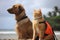 dog and cat lifeguards keeping a watchful eye over beachgoers, ready to help in any emergency