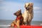 dog and cat lifeguards protecting their flock from the dangers of the deep blue sea