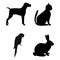 Dog, Cat, Parrot, Rabbit silhouettes - illustration