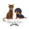 Dog and cat of pure breed promotional poster