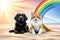 dog and cat in rainbow land, mourning, animal burial