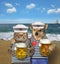 Dog and cat sailors drink beer on beach