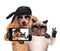 Dog with cat taking a selfie together with a smartphone