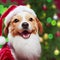 Dog celebrating christmas. Cute  puppy with christmas gifts and santa`s hat. ai generated. Puppy santa claus