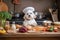 dog chef, with eyes closed and paws moving in time to music, makes fresh and healthy meal