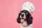 dog in a chef\\\'s hat on an pink background, Close-up portrait photography of a happy dog wearing a chef hat . Cute dog as a