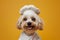 dog in a chef\\\'s hat on an pink background, Close-up portrait photography of a happy dog wearing a chef hat . Cute dog as a
