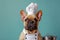 dog in a chef\\\'s hat on an pink background, Close-up portrait photography of a happy dog wearing a chef hat . Cute dog as a