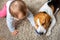 Dog chewing his toy on a carpet. Baby plays with him trying to grab his toy.