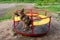 Dog and children`s carousel