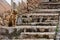 Dog in Chinchero\'s cobbled streets, Peru