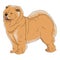 Dog chow chow red