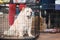 Dog chow chow in a special cage at the dog show waiting for its release