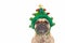 Dog with Christmas tree on head. French Bulldog wearing funny headband while making a not amused face