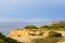 Dog on the Cliffs at Montauk Point