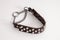 Dog collar from brown leather with metal rivets with stainless chain, close up, on white background. Copy space.