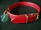 Dog collar with identification tag