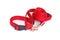 Dog collar with leash