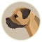 Dog collection Border Terrier Geometric style Avatar icon round