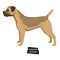 Dog collection Border Terrier Geometric style Isolated object