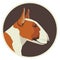 Dog collection Bull Terrier Red and White Avatar icon round