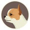 Dog collection Chihuahua Geometric style Avatar icon round