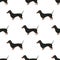 Dog collection Dachshund Seamless pattern